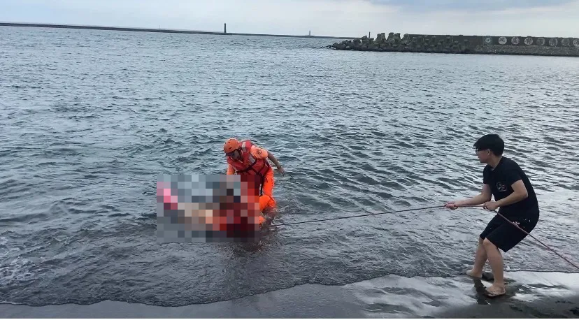 翁海泳遇狗襲溺斃！3米克斯「咬完人游走」　浪犬問題嚴重