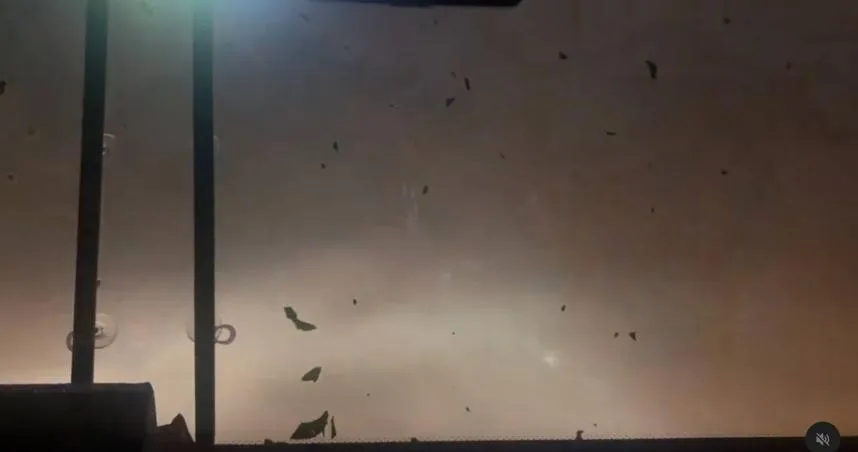 統一獅隊巴颱風天狂奔返台南！　陳傑憲：這風雨滿刺激