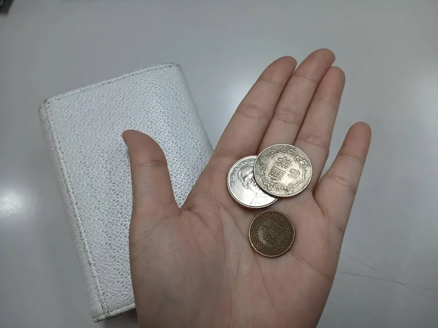 11月3生肖財運陷危機　屬豬小心「鬼遮眼」破財