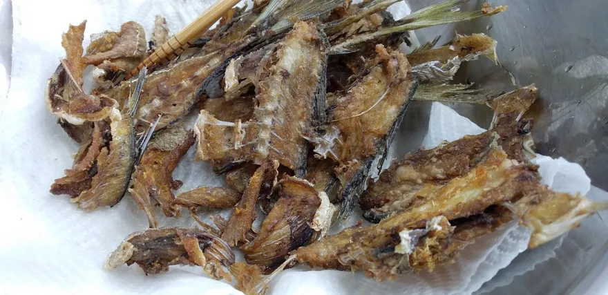 魚刺、骨頭不算廚餘！新北環保局解答：應丟一般垃圾