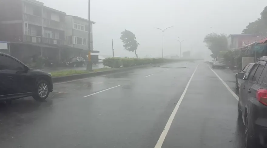 楊柳巔峰之姿登陸！南部風雨正要開始　北部小心角隅效應