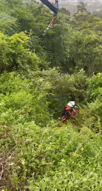 宜蘭台9線自小客車墜落邊坡　63歲女駕駛獲救送醫