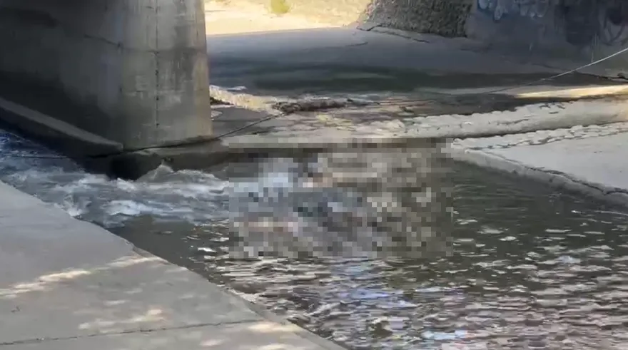 台中麻園頭溪見浮屍！臉朝下漂水面　是失聯3天老翁