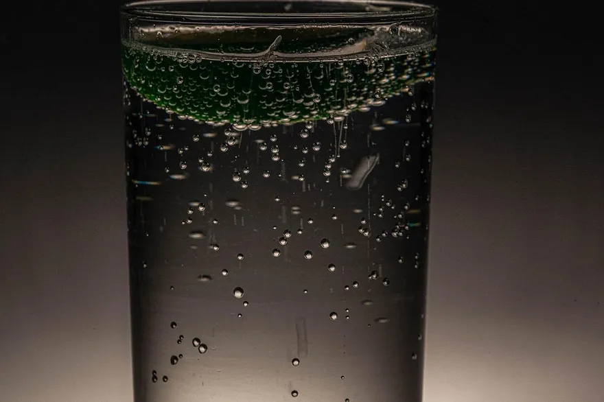 中年人的快樂水！無害又能戒手搖飲　只有腸胃差不能暢飲