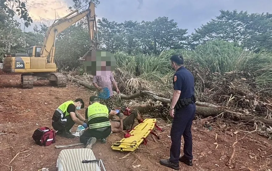 新北工人遭樹幹砸中　頭部濺血右腿骨折昏迷