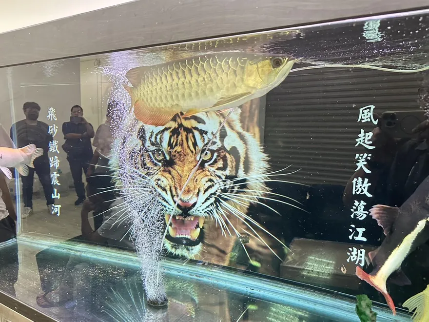 影/竹檢破獲跨境詐騙機房！專騙大陸人　詐騙金額逾10億