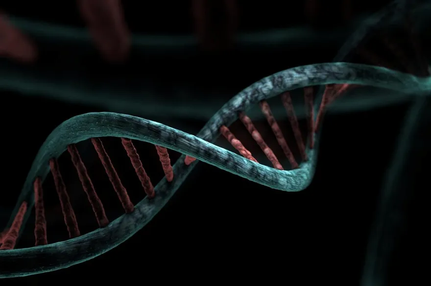 生殖醫學大突破！男人皮膚細胞竟能製造卵子　打破性別、不孕限制