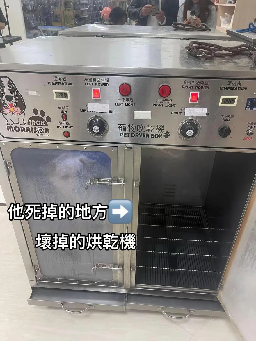 愛貓送洗澡卻死了！亡命烘乾機還繼續用　業者：賠錢或是賠貓