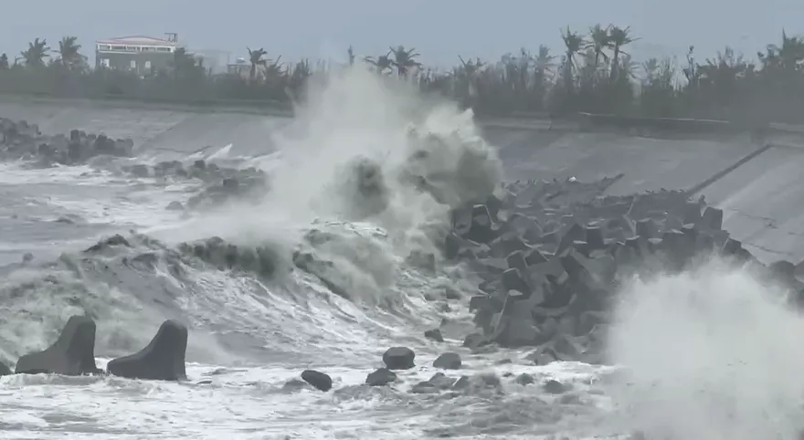 強大怪物「鳳凰」撲台人心惶惶！　林得恩驚呼：還是護國神山，夠力