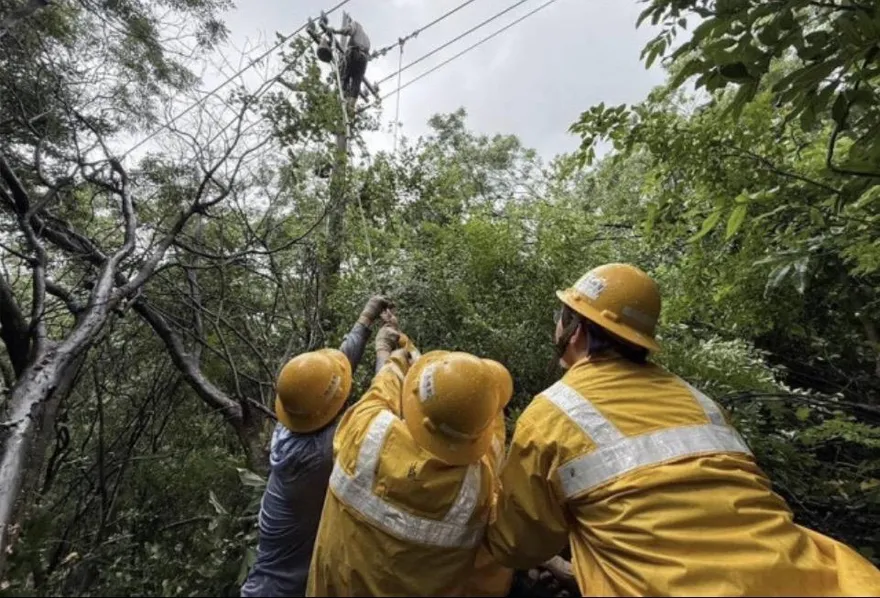 樺加沙過境屏東釀6268戶停電　台電搶修全數復電