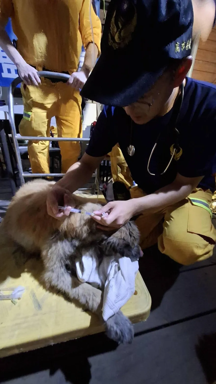 高市救援隊花蓮出任務聽「悲鳴」！成功救出身陷泥濘犬隻