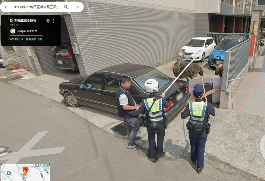 Google街景神捕捉！台中警大戰「逃家鴕鳥」網笑翻