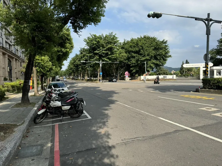 影/三峽女騎車遭BB彈槍隨機射擊？　警方：疑樹果掉落
