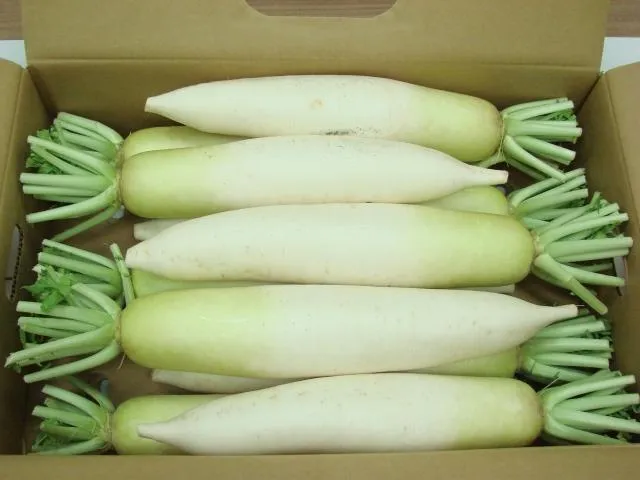 「蘿蔔葉」營養完勝白蘿蔔！維生素A含量高2300倍