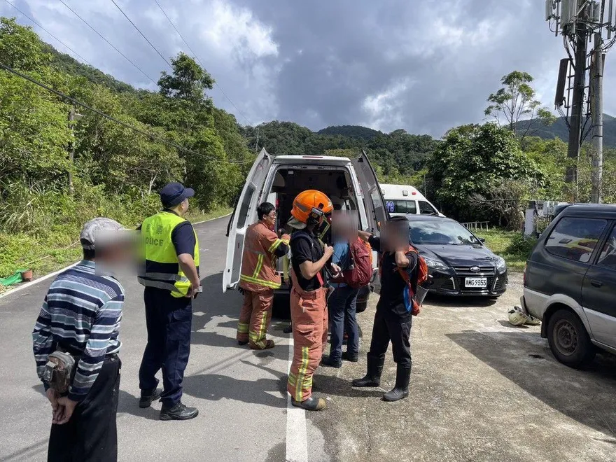 新北坪林7人被蜂螫傷　均意識清楚送醫
