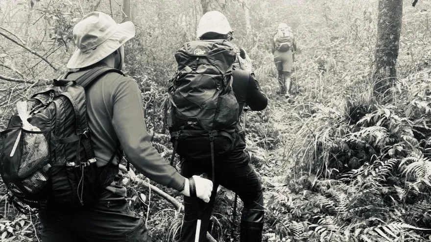逃不過死神召喚！男子攻頂失蹤3天「魂斷阿玉山」