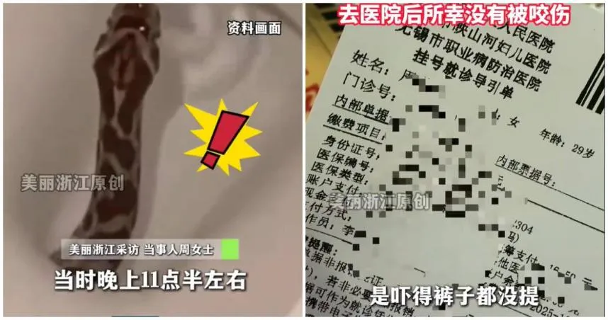 上廁所迷糊中「屁股被頂」！馬桶竄出蛇　婆婆扮救星解圍