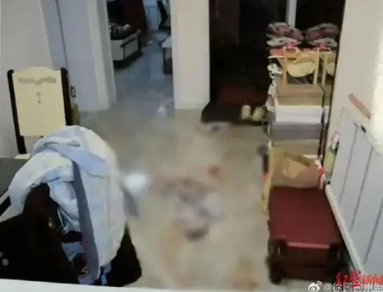陸23歲女交往富二代被毆後挨刀亡　法院1原因判男友無罪