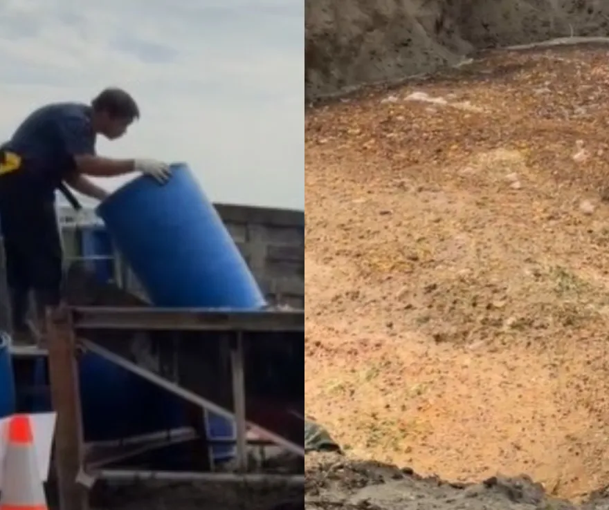 台中市3面向去化廚餘！明起掩埋場縮減至3處