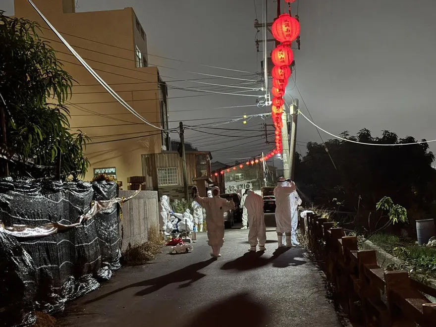 非洲豬瘟案場3處仍驗出陽性！專家建議未來不應再養豬