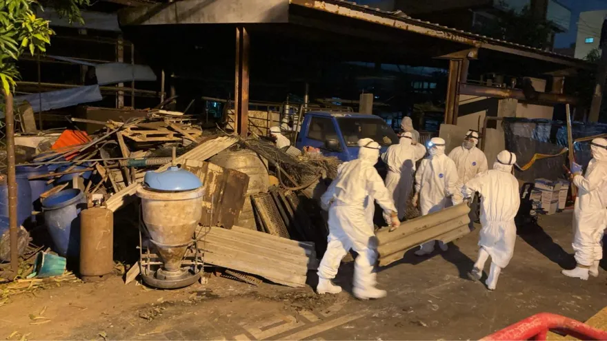 快訊/非洲豬瘟案關養豬場經營者陳姓父子遭羈押禁見！