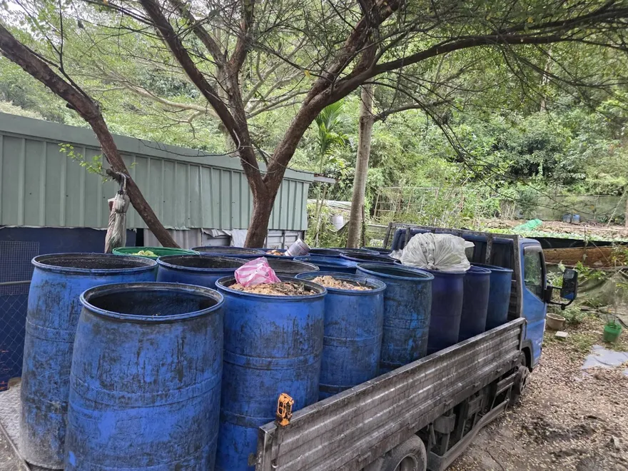 116年全面禁廚餘養豬　北市清運回收規劃不再分類