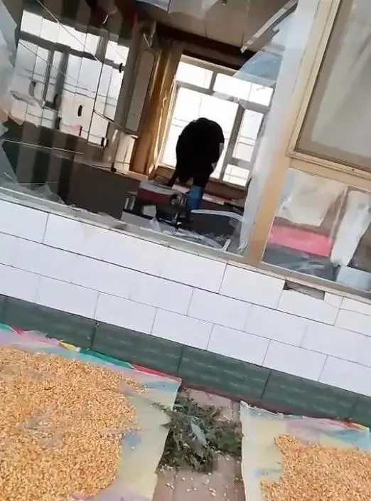 影/炕上滿是豬血！野豬闖吉林超市撞傷7旬婦　或1原因致抓狂