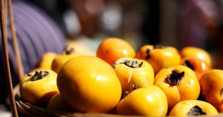 秋柿驚見黑斑？切開才知錯過好貨　農糧署：高溫的自然反應