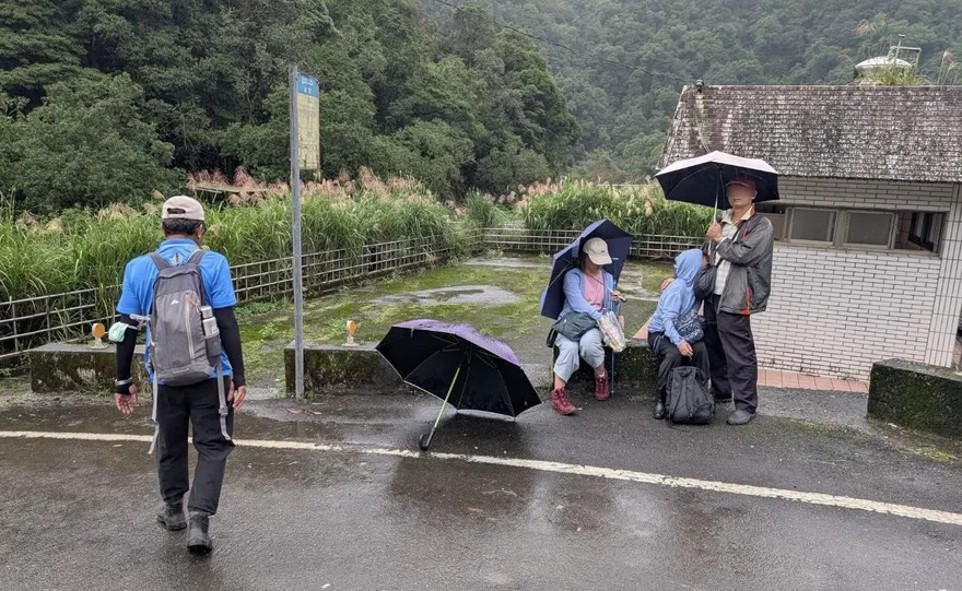 新北雙溪山區驚傳虎頭蜂群攻擊　3登山客遭螫傷送醫