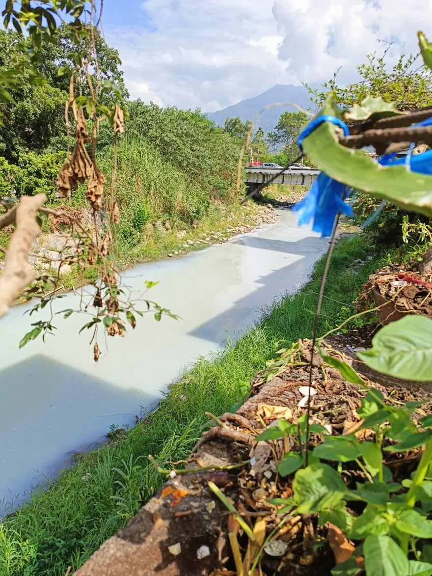 南投溪流一夜變「牛奶河」！白濁飄異味　環保局緊急追查