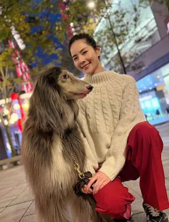 前名模涉吞2.5億善款買豪宅養狐狸　交保6天逆轉收押原因曝