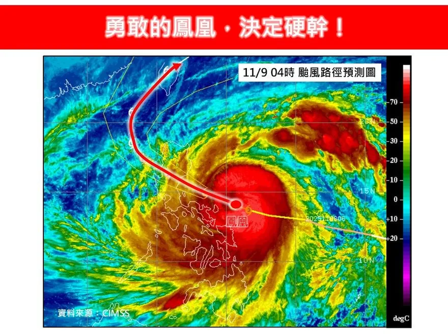 勇敢的鳳凰決定硬幹！　氣象專家：恐像山陀兒死在台灣