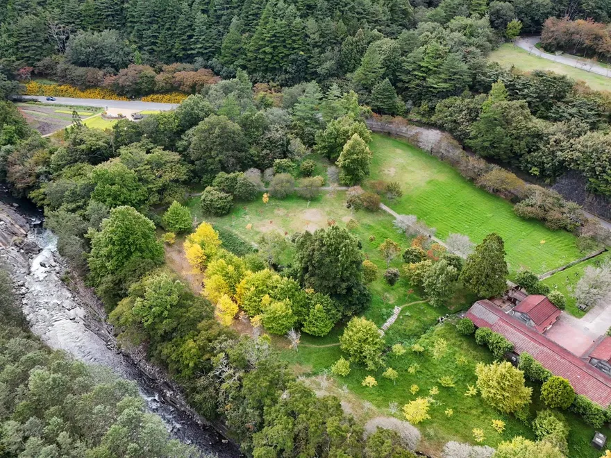 鳳凰颱風逼近　武陵農場11/11下午2時起休園