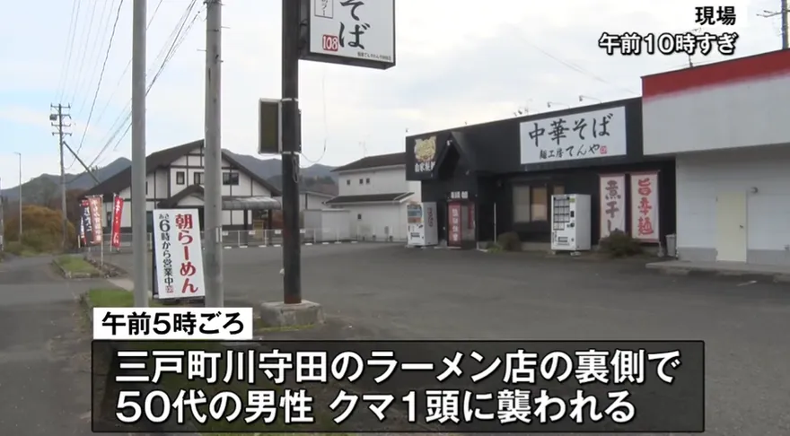 日拉麵店員遭熊襲「怒甩回去」成功趕跑熊　滿身血竟繼續工作