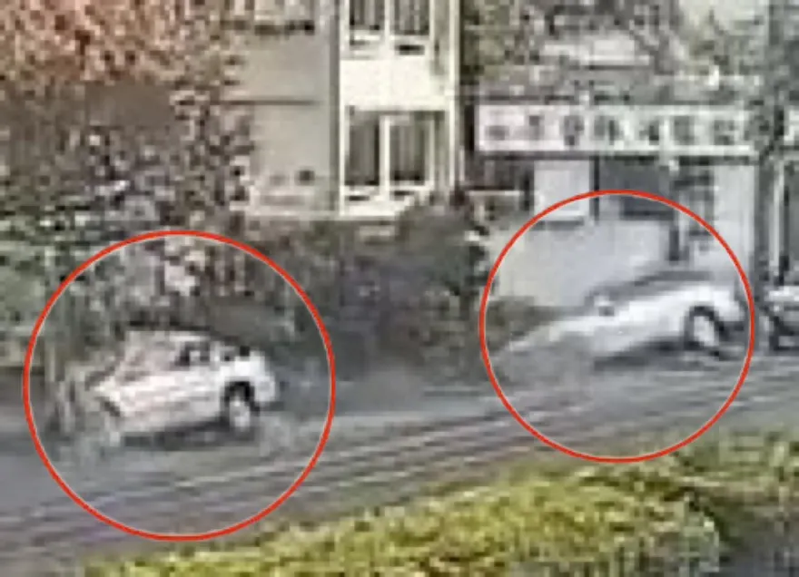 影/芬園5老小烏龜翻「飛墜荔枝園」　事發時還撞了路邊車