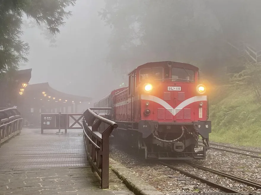 鳳凰陸警在即！阿里山森林遊樂區休園、林鐵明起預警性停駛