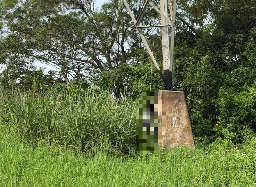 桃園虎頭山驚見「1男陳屍電塔」　民眾路過嚇壞報案