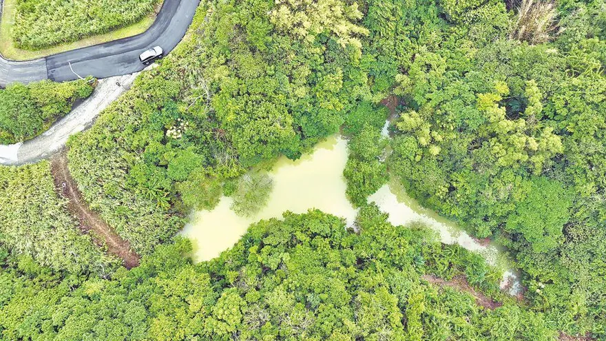 影/基隆調和街驚見「內陸湖」！ 市長承諾改善排水設施