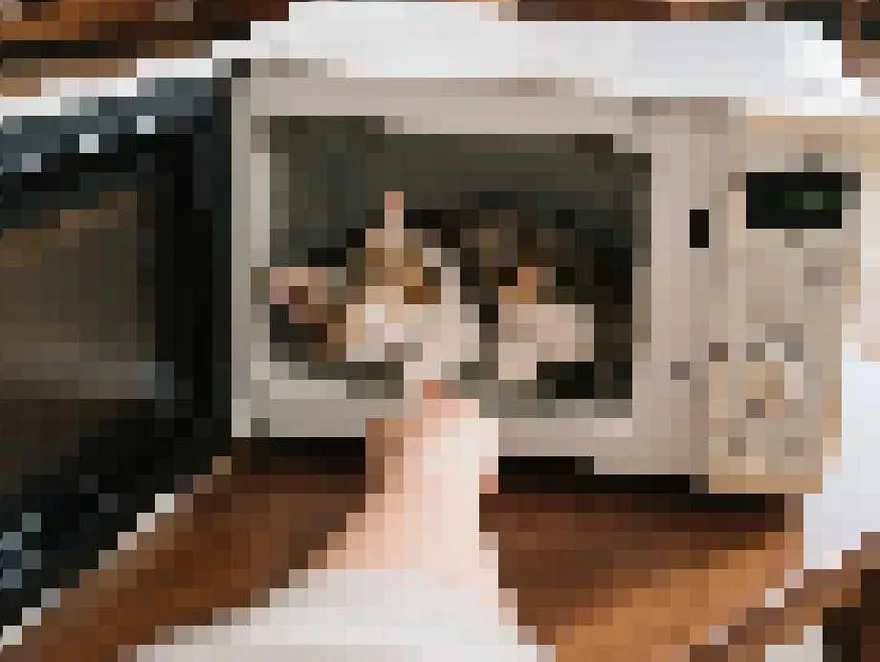 小貓何辜？高雄變態男微波爐虐貓PO網　被逮孬稱「帳號被盜用」