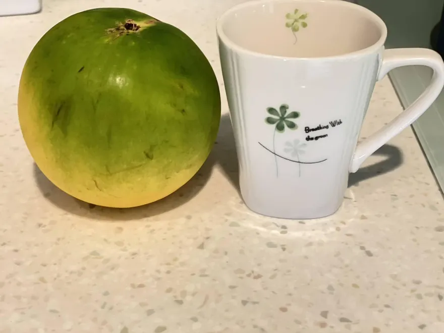 4顆黃金果988元！友遊龜吼遭坑殺　彭華幹痛批：哀哉台灣