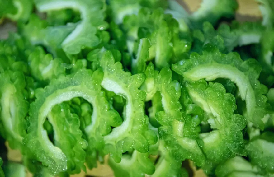 越苦越有用？醫：苦味食物具抗氧化、穩血糖與調血壓功效