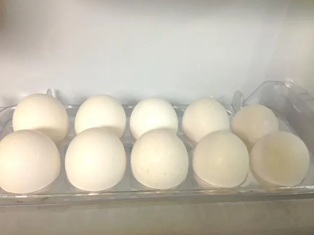 籠飼不安全？專家不認同　放牧雞蛋殼污染率通常更高