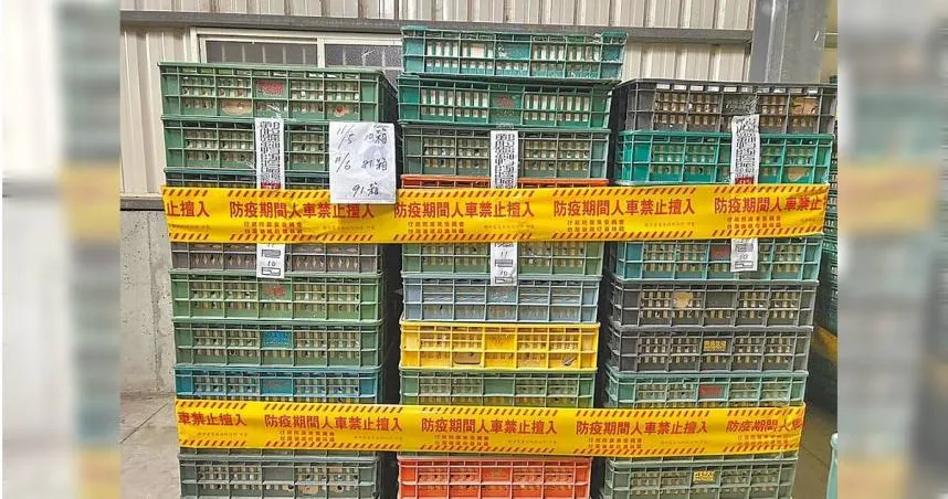 毒雞蛋還賣給誰？文雅畜牧場負責人一聽速掛電話！