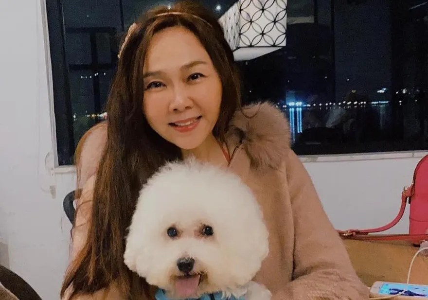 包包遺忘捷運廁所！江映瑤順利找回「讚爆北捷公司」