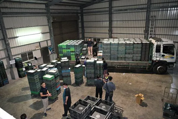 毒雞蛋下游餐廳名單公布　業者喊冤「我沒用」！生意一夜掉４成