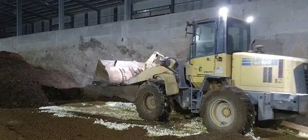 文雅畜牧場雞隻「暫不全場撲殺」　鎖定15家高風險蛋雞場檢驗