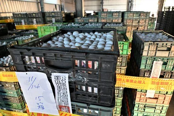 15家高風險蛋雞場「檢驗結果明出爐」　文雅畜牧場有望解除管制