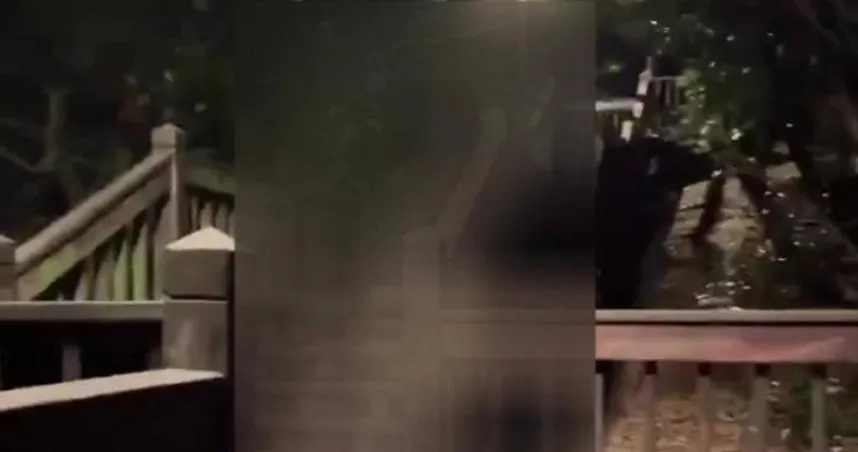 南港公園淪天體營集散地？警加強巡邏：發現裸體依法嚴辦