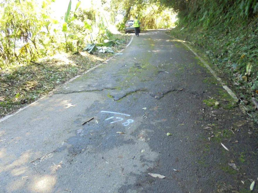 遊客注意！雪見遊憩區司馬限林道　11/27至12/12施工封閉