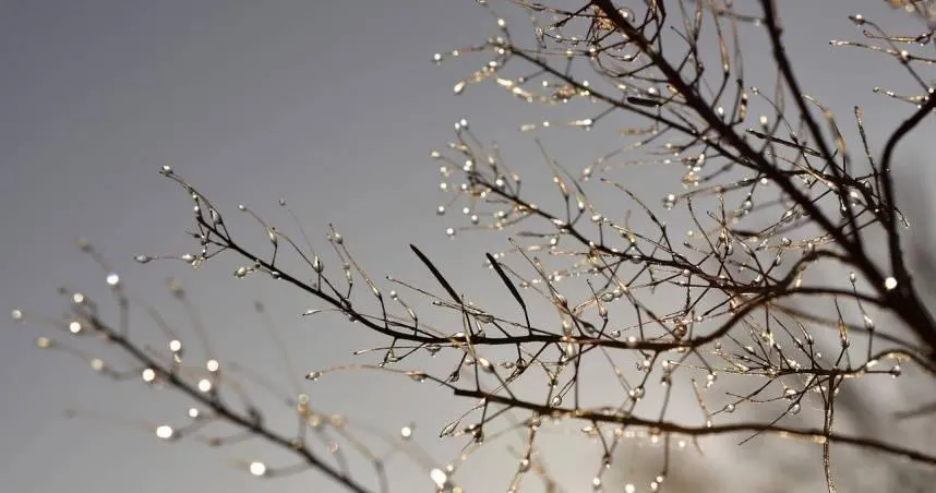 越冷運勢越旺！4星座逆勢起飛　事業愛情雙豐收